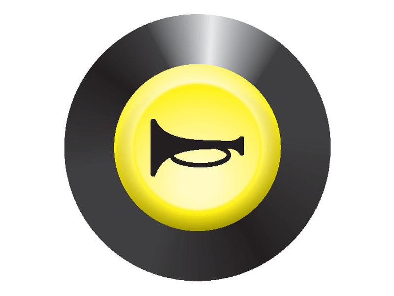 Interruptor de Buzina
